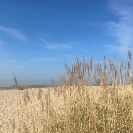 Haus Nordseebrandung D1 4 Apartman Cuxhaven